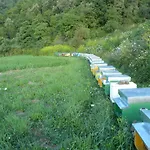 Çiftlik konaklama Giandriale
