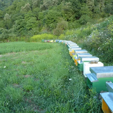 Farma Giandriale