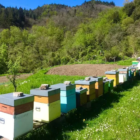 Giandriale * Tavarone