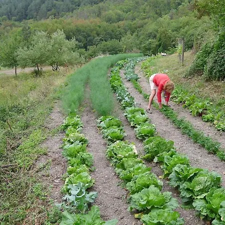 Farm stay Agriturismo Giandriale *
