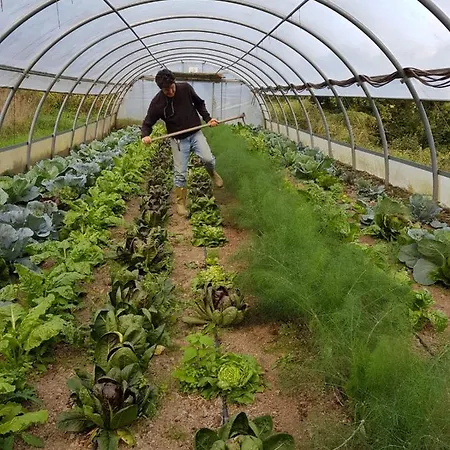 Giandriale Farma Tavarone