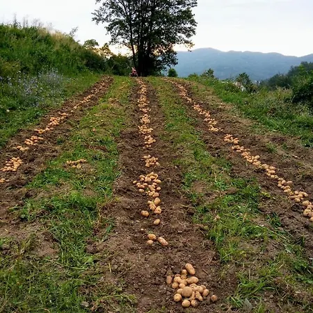 Agriturismo Giandriale *