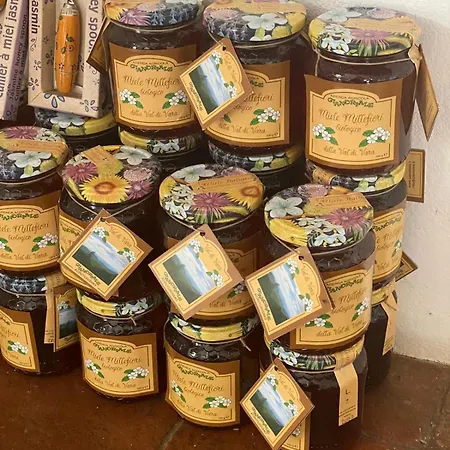 Giandriale 타바로네