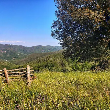 Alojamento de Turismo Rural Giandriale *