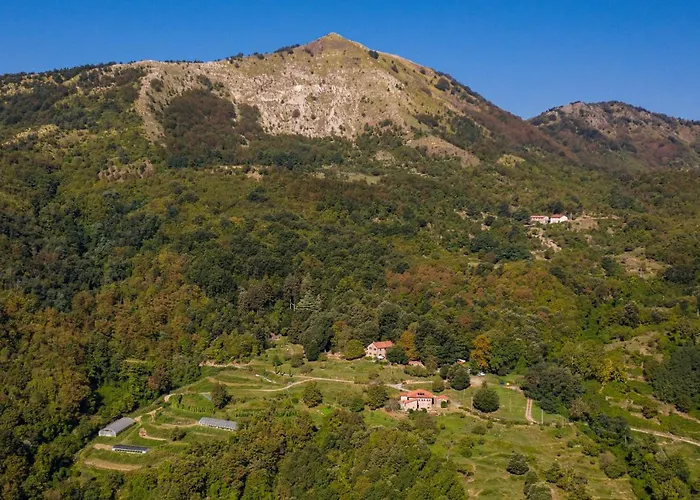 Agriturismo Giandriale Farm stay *