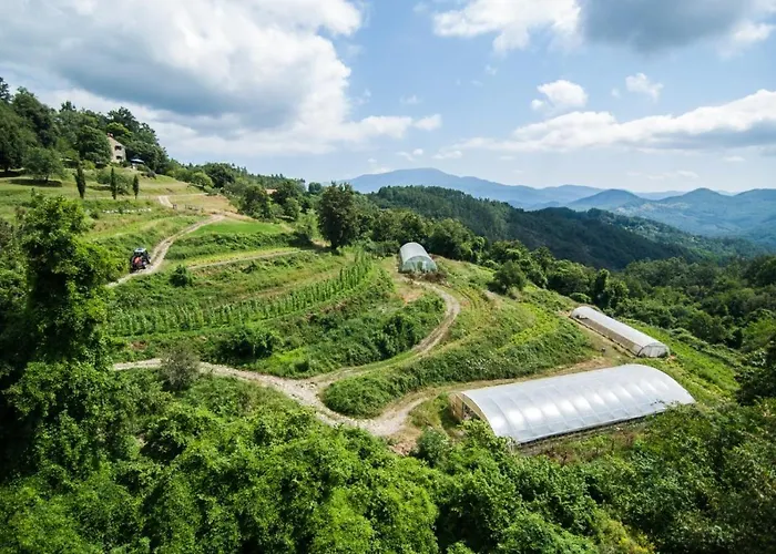 Agriturismo Giandriale Farm stay *