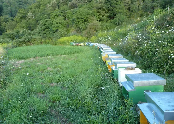 Farm stay Agriturismo Giandriale