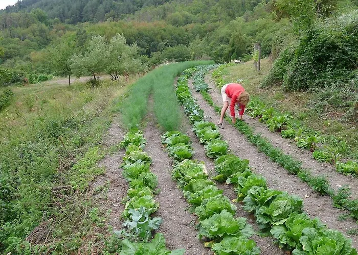 Farm stay Agriturismo Giandriale *