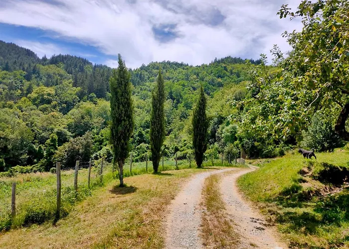 Farm stay Agriturismo Giandriale Tavarone